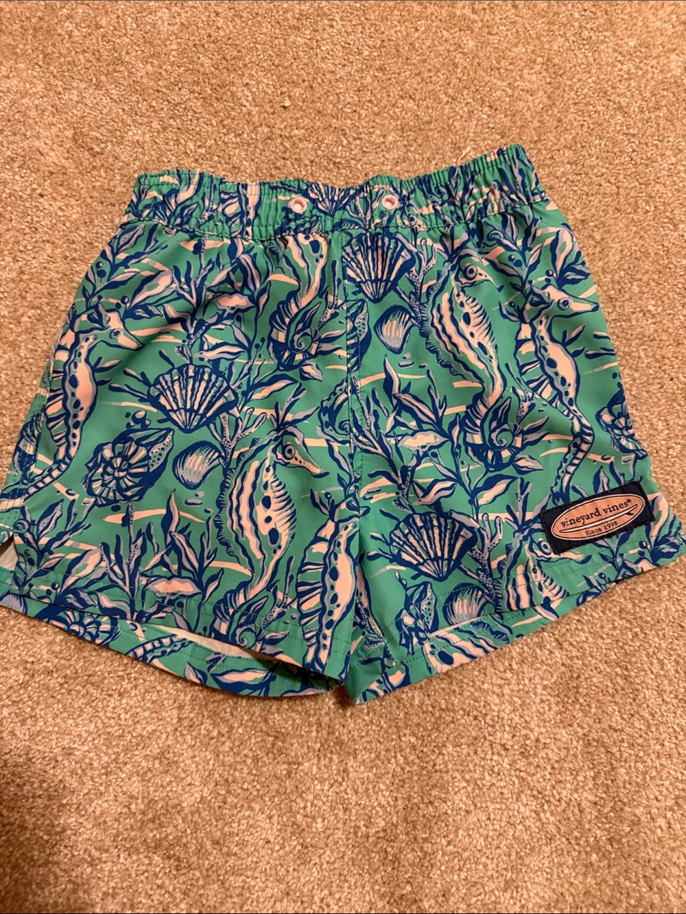 Vineyard Vines Sea Life Athletic Shorts in Teal & Navy